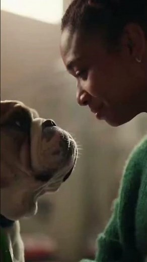 Dogs Meet Their Humans for the First Time 🐶 | Heartfelt Adoption Moment