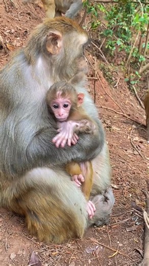 Tammy on Instagram: "😂😂"