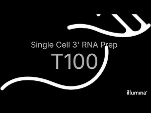 Illumina Single Cell 3' RNA Prep, T100 Workflow