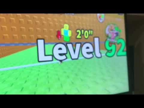 The day in the life of a 3rd grader