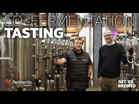 Three Co-Fermentation Beers | Which Tastes Better?