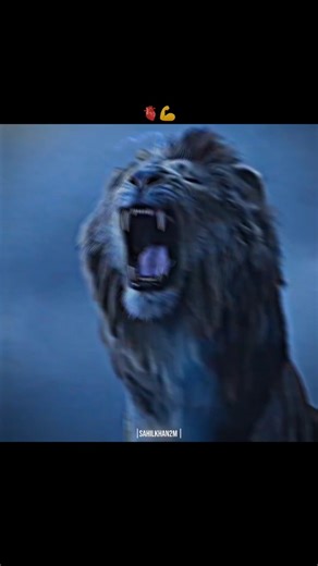 Ali #ali ali#ali 🫀💪