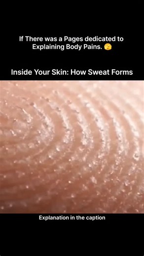 Explaining Biology on Instagram: "Sweat may look simple, but it’s one of the body’s smartest survival tools. When your internal temperature rises due to heat, exercise, or stress, your brain sends signals to millions of sweat glands beneath your skin. These glands release a mixture of water, salts, and minerals onto the skin’s surface. As sweat evaporates, it pulls heat away from the body, helping you cool down and maintain a stable temperature. This process prevents overheating and protects vit