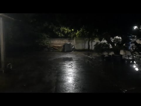 Walking in The Rain at Night | Village Night Rain Sounds | Village Night Ambience