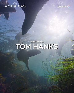 Tom Hanks narrates The Americas, scored by composer Hans Zimmer. Stream the new documentary series now on Peacock. | Peacock TV