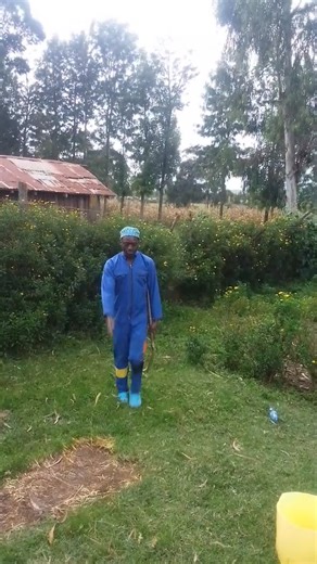 Peter Aguero ati u challenge uyu jamaa ndani ya Kandutura TV | Franko Wa Kandutura