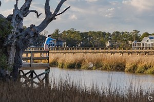 Living in Daniel Island, SC