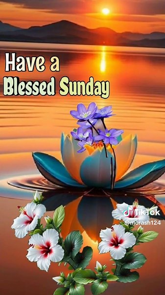 Happy Sunday: Uplifting Worship Songs for Reflection