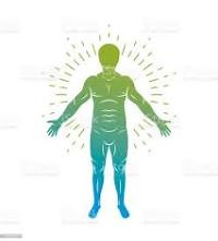 ¿Qué es un ser humano?