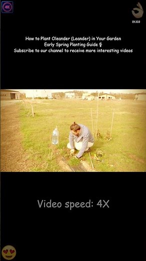 🌸 How to Plant Oleander (Leander) in Your Garden | Early Spring Planting Guide 🌿✨