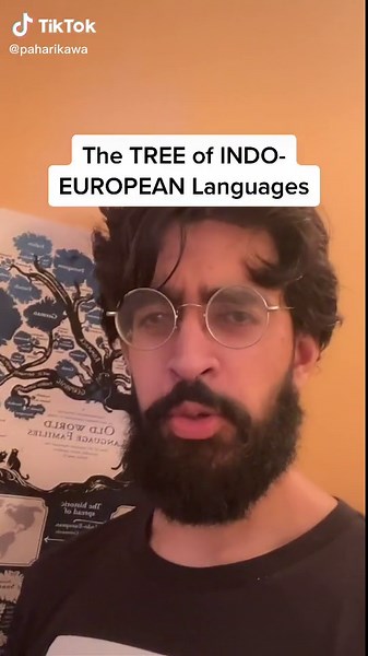 Exploring the Evolution of Languages Through History