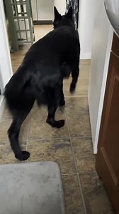 8.5K views · 1.2K reactions | As much as he loves his face washed… ointment on his nose.. not so much  | Ten Shakes of Grace | Facebook