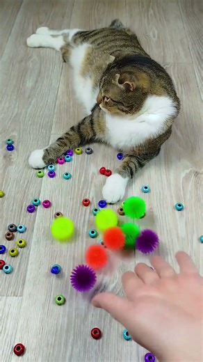 Colorful Bead Adventure: A Charming Cat's Playtime
