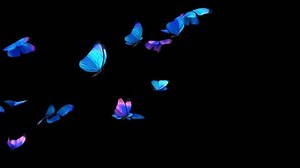 Illustration Group Blue Butterflies Flying Stock Footage Video (100% Royalty-free) 1102381241 | Shutterstock