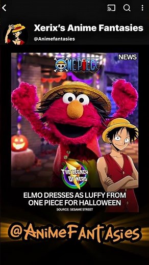 Elmo dresses up as luffy from one piece for Halloween 🎃