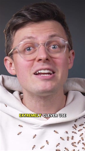 This Train Needs No Fuel Or Charge! All it uses is..... gravity?! #innovation #science #australia