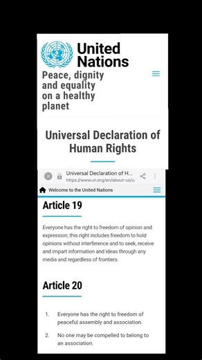 ☆♡𝑳𝑨𝑫𝒀 𝑨𝑽𝑹𝑰𝑳🍀 (@.lady.ire.riseup)’s videos with Collapse Code - César Falox