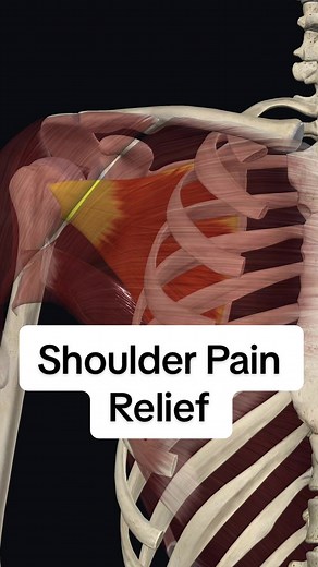 Effective Solutions for Front Shoulder Pain Relief