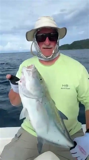 Bluefin Trevally in Full Color 💙🐟 | Los Buzos (with ‪@YakFishField‬ )