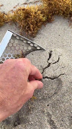 🚨 THE METAL DETECTING MISTAKE THAT'S KEEPING YOU BROKE! 💰😱