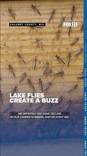 How lake flies impact life around Lake Winnebago