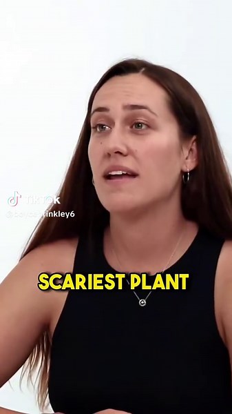 Funny Prank Video: Scary Bamboo Surprise