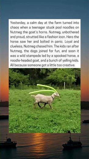 Goat With Pool Noodles Starts Wild Farm Chase