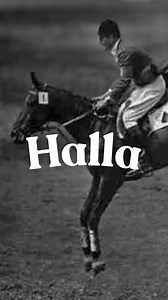 Halla: La légende du saut d'obstacles