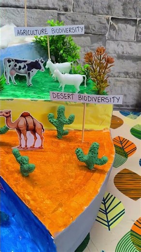 Biodiversity Model for School Project | Science Exhibition | Komodo Craft #Shorts