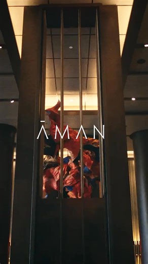 A landmark for dining in Manhattan, Aman New York brings together signature Arva by Aman and Nama by Aman with open-space terraces, a refined Lounge Bar and subterranean The Jazz Club New York , each expressing culinary heritage shaped by a seasonally-led and contemporary take.​ ​Discover Aman New York’s dining destinations: https://www.aman.com/hotels/aman-new-york/dining | Aman New York