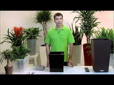 Self Watering Planters