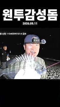 감성돔원투낚시#컬투채비#헥사추#아스타6450