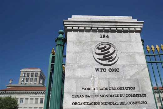 WTO chair rules out reform deal at next major meeting, document shows