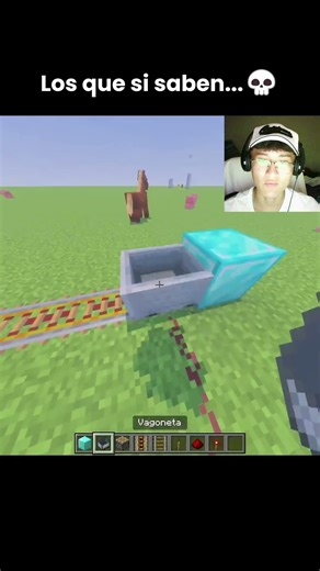 MINECRAFT HACK BUG💀 #minecraft #shorts #viral