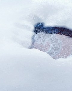 158K views · 318 reactions | Este mes, nuestro escorpión da...