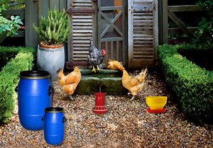Poultry Farm Easter Escape - Escape Fan