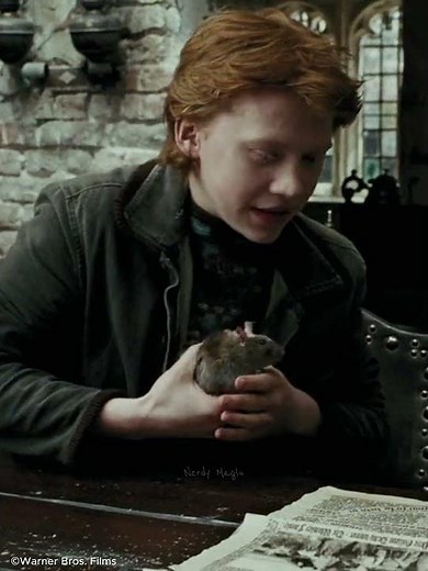 Harry Potter’s Biggest Plot Hole? #harrypotter #harrypotterfacts #harrypottermovie #ronweasley