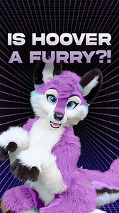 341K views · 1.1K reactions | The College Football world exploded earlier this week as rumors were running rampant stating that TCU’s Starting Quarterback, Josh Hoover, was secretly a furry off the field 藍藍 Spoiler: He is not a furry | EvHandd | Facebook