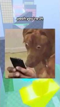 Roblox Age Verification SUCKS! 😭 #relatable #rblx #robloxrant