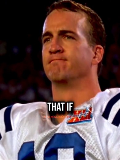Peyton Manning Benches Austin Collie for One-Hand Catch | Story Explained
