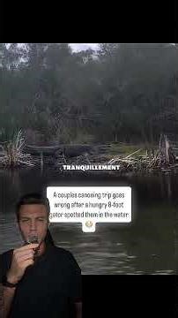 She gets eaten by an alligator