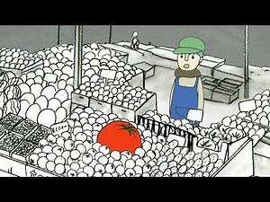 Tomato confit (Mayuko YAMAKITA)