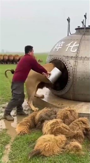 Unlock the Matrix: Code Behind the Perfect Automatic Cut 🔑💻