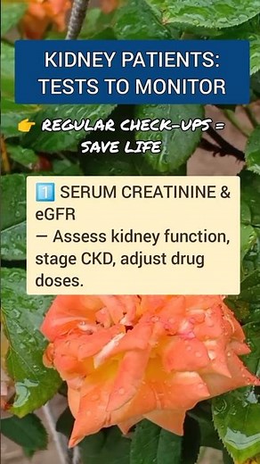 Essential Kidney Tests You Must Track Regularly in Elderly CKD Patients