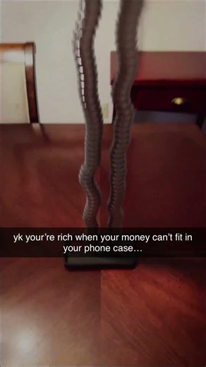 This Phone Case Can't Handle Being Rich #shorts #funny