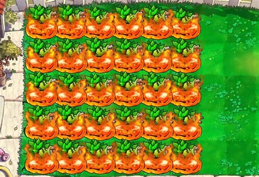 狂野机枪射手, 烈火南瓜头 - Plants VS Zombies Hybrid