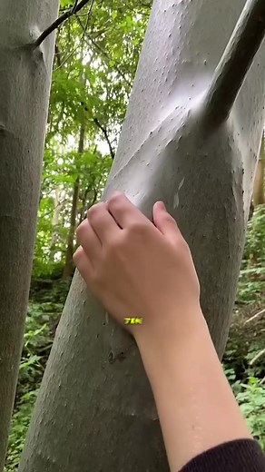 Top 10 Offline Games to Play Outside the Home