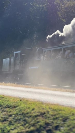 Shay Locomotive hauling passengers #steamlocomotive #fblifestyle #railroadhistory #trains | Big Trains
