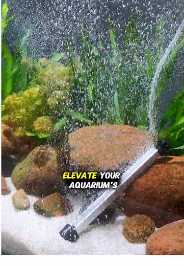 Using Bubble Strips for Healthy Aquarium Fish