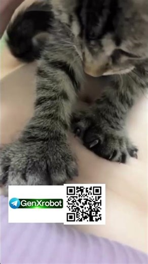 кошачий антистресс #массаж #кот